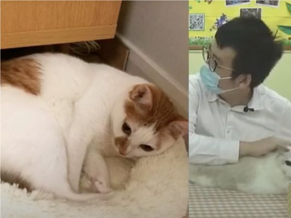 靜 · 新活之蘇沙Summer Channel 寵物小知識  (一)